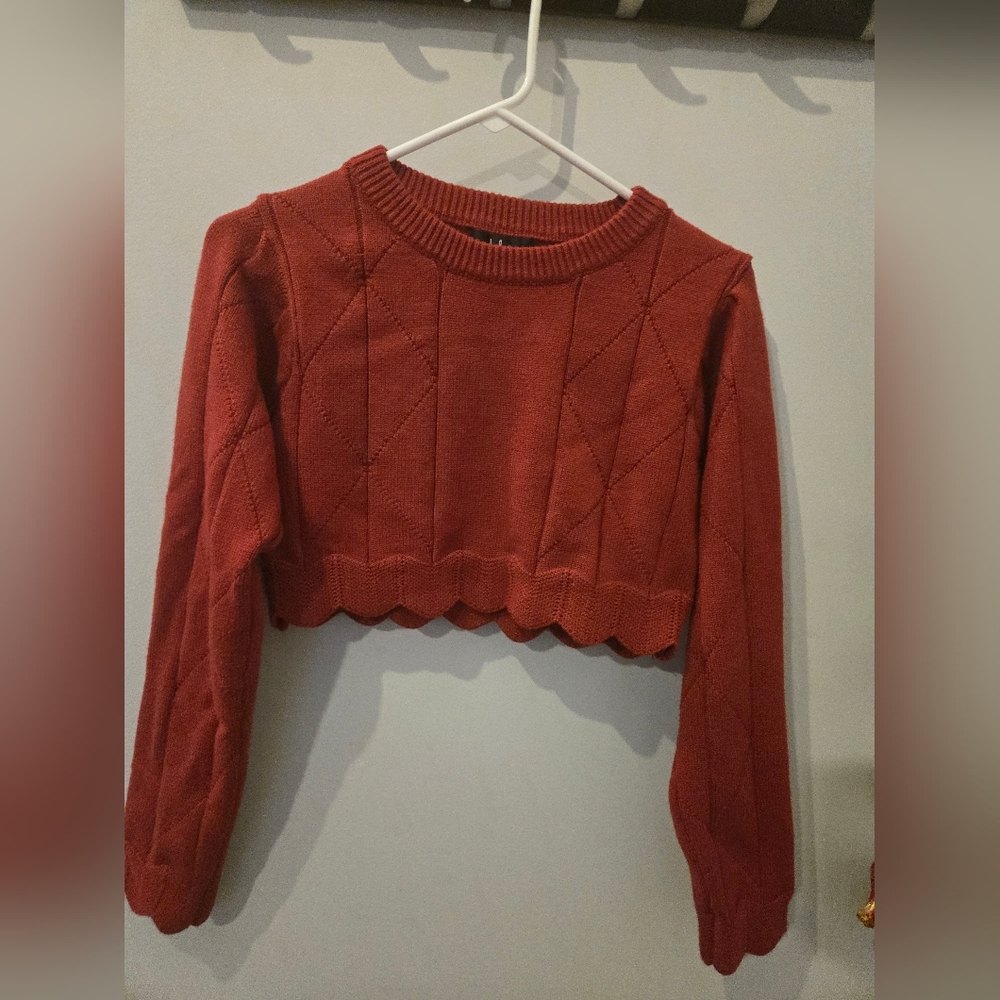 Rust Cropped Knit Sweater